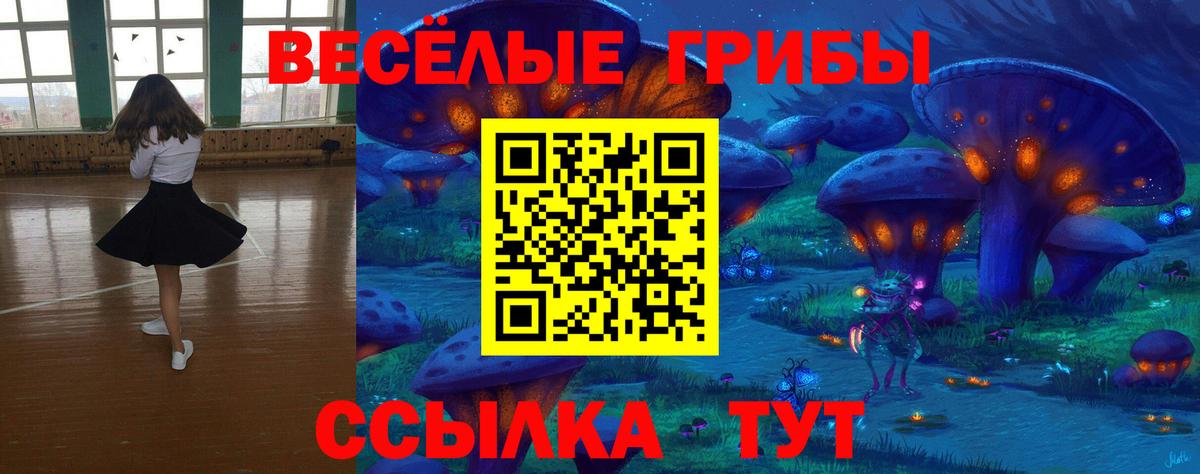 Галлюциногенные грибы мицелий Асино