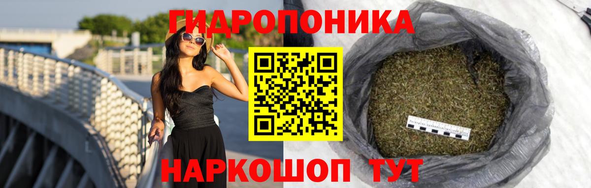 Каннабис ГИДРОПОН Асино